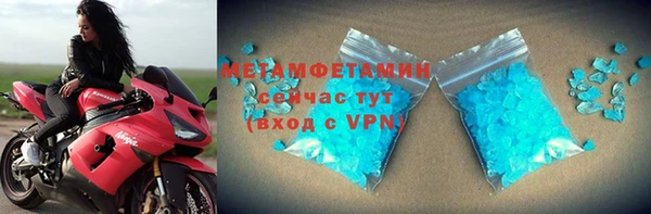 прущие грибы Бородино