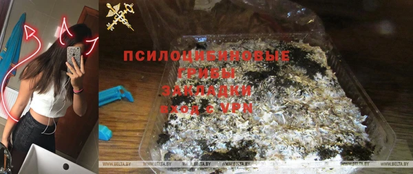 эйфоретик Нея