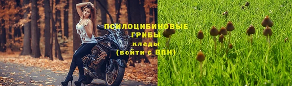 наркотики Богородицк