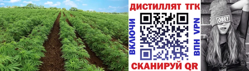 ТГК вейп с тгк  Нолинск 